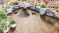 Замковая кварцвиниловая плитка Alpine Floor, FLOOR PARQUET LIGHT ECO 13-10 МАКАДАМИЯ